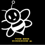 DOM1NO KINGDOM