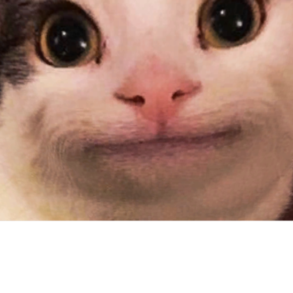 cat bot