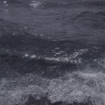 *:･ﾟ✧*:･ﾟ✧ 