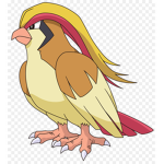 Pidgeot Clothing