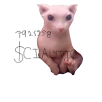 $CIALYTIC