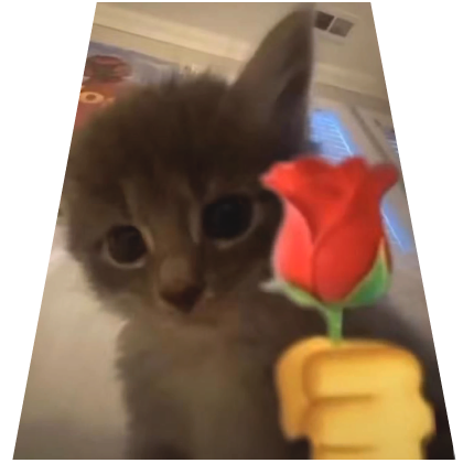 Cute Romantic Cat Cape Roblox item