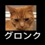 Catastrophe cats