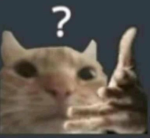 Insira o nome do grupo