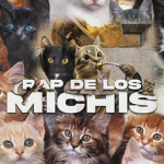 PABI0BRUSCHl