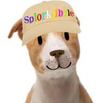 Splorkjibble