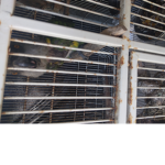 BIRD IN CAGE