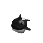 Cuddly Killer Whale Owners