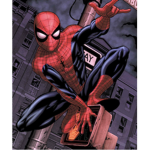 Spider man Fan-group