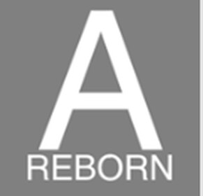 Anarchy Reborn //OLD