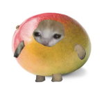 da mango club