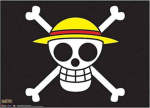 —Straw Hat Pirates!!!—