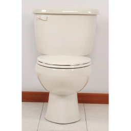The Toilet