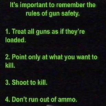⒊ Shoot to kill.