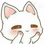 Cat Clothes :3