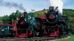 T weetsie Railroad