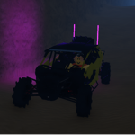 Can Am ATVs (Razers & Quads)