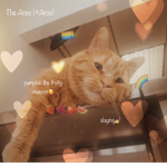 The Aces (+Aros)