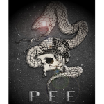 The Phantom Forces Elites