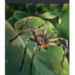 Spooder Fans