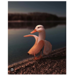 Ducks duck knight commanders groups