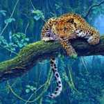 Leopard Fx. Studios