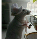 SwAGgY RaTs OFFICIAL シ