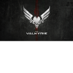 [GTI]Global Trade Incorporated Valkyrie Division