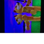 doge leader 1