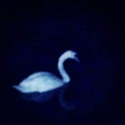 the