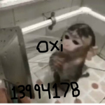 キ oxi
