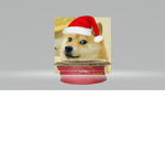 Doge's United!!