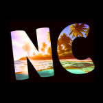 Nenoy_fake Community