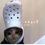 K1TTY T3AR$