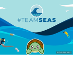 Team of The Awesome Turtle