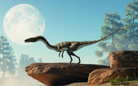 The Triassic Adventure