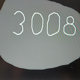 3008 But Bad