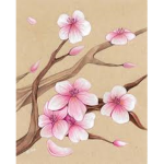 Sakura's O mise
