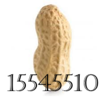 a peanut's basement