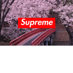 SUPREME MAFIA