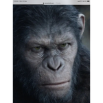 Ya fan club