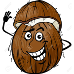 funny coconut studio