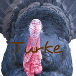 Turkey Productions Games Entertainment