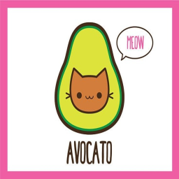 Kawaii Avocado Lounge Production Set