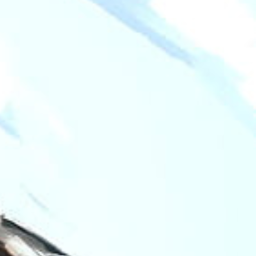✦