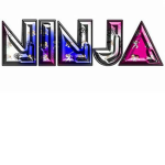 White Ninja Squad