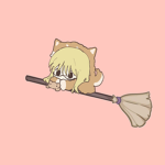 Levi's Broom