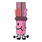 Coral Marker