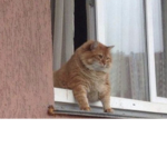 gayss<3