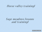 Sage meadows lessons and training